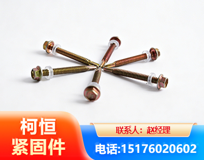 湖州六角钻尾丝